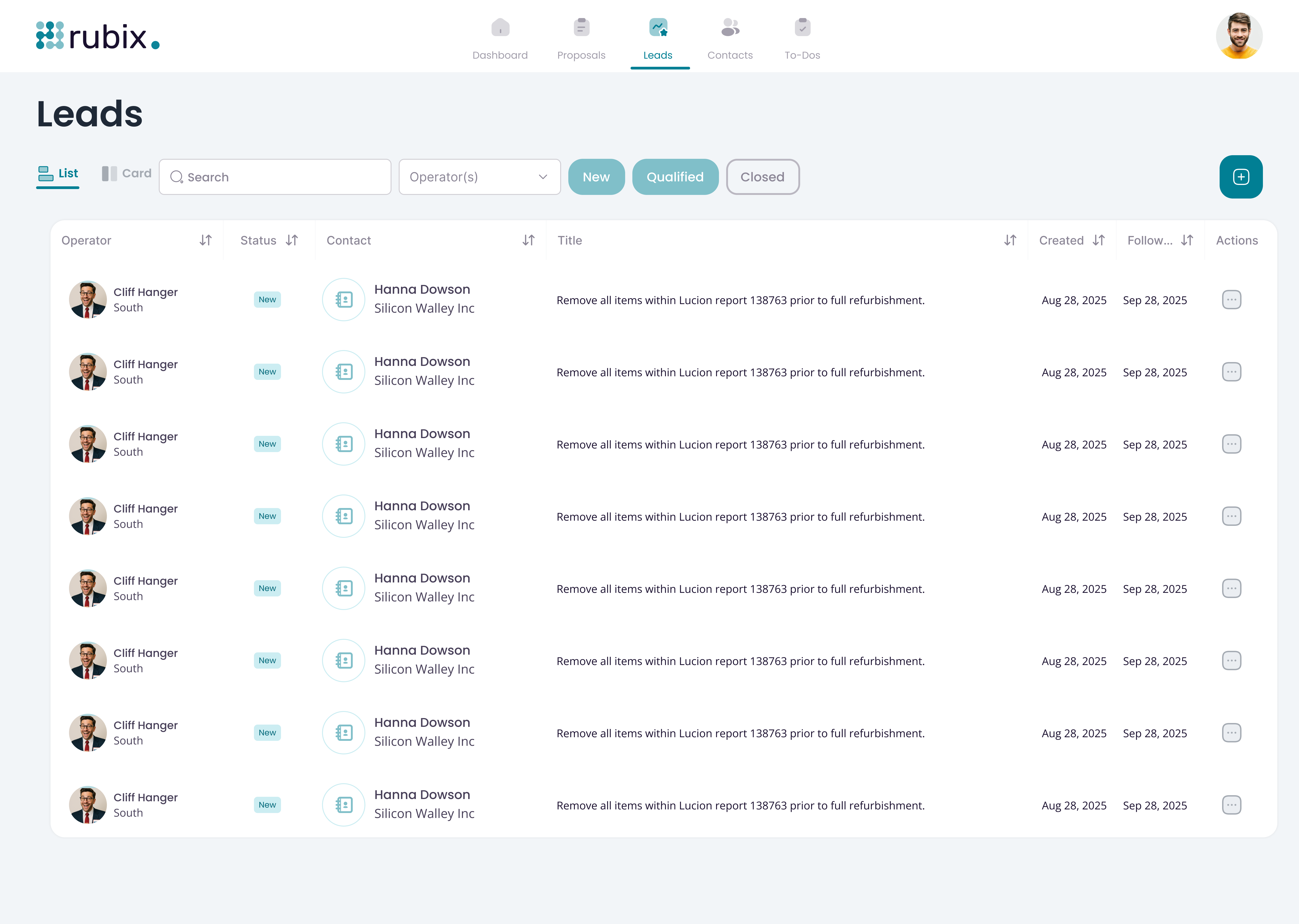 Rubic CRM <br> Management System Detail View 1